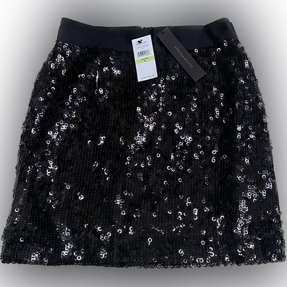 Cynthia Steffe Dresses & Skirts - CYNTHIA STEFFE ❤️❤️🆕 BRAND NEW WITH TAGS SKIRT